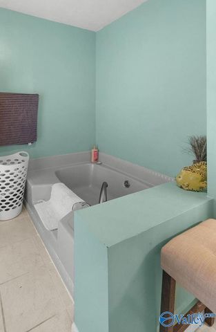 203 Amy Drive, Glencoe, AL 35905