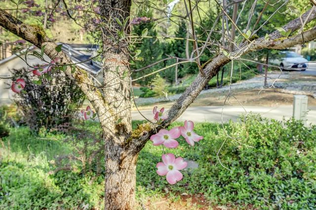 362 Gracie Rd, Nevada City, CA 95959