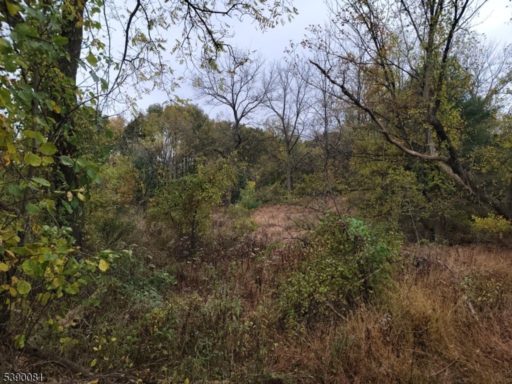 258 Clove Rd, Montague Twp., NJ 07827