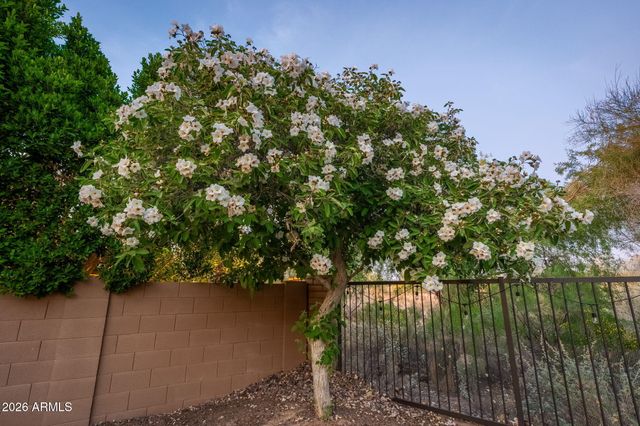 29051 N 122ND Drive, Peoria, AZ 85383