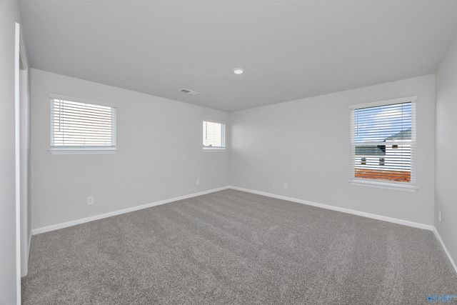 8211 Huspa Avenue, Madison, AL 35756