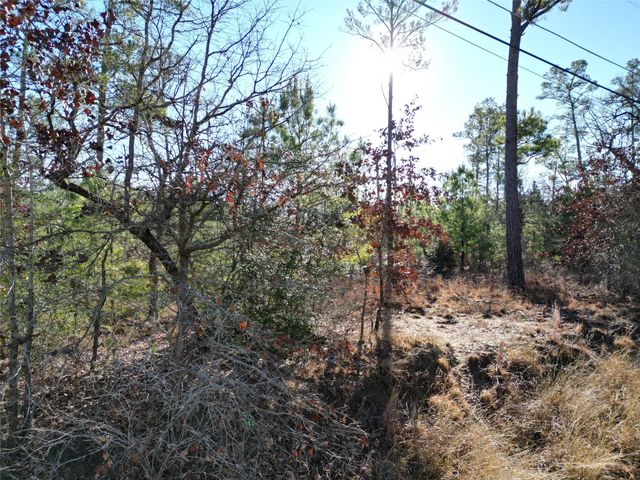 000 N Pahihi DR, Bastrop, TX 78602