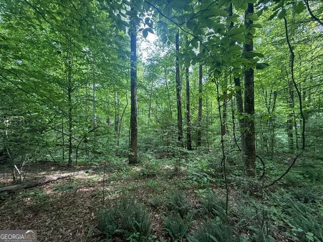 389 Fox Trot Road TRACT B, Clayton, GA 30525