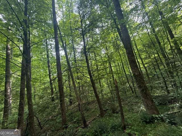 389 Fox Trot Road TRACT B, Clayton, GA 30525