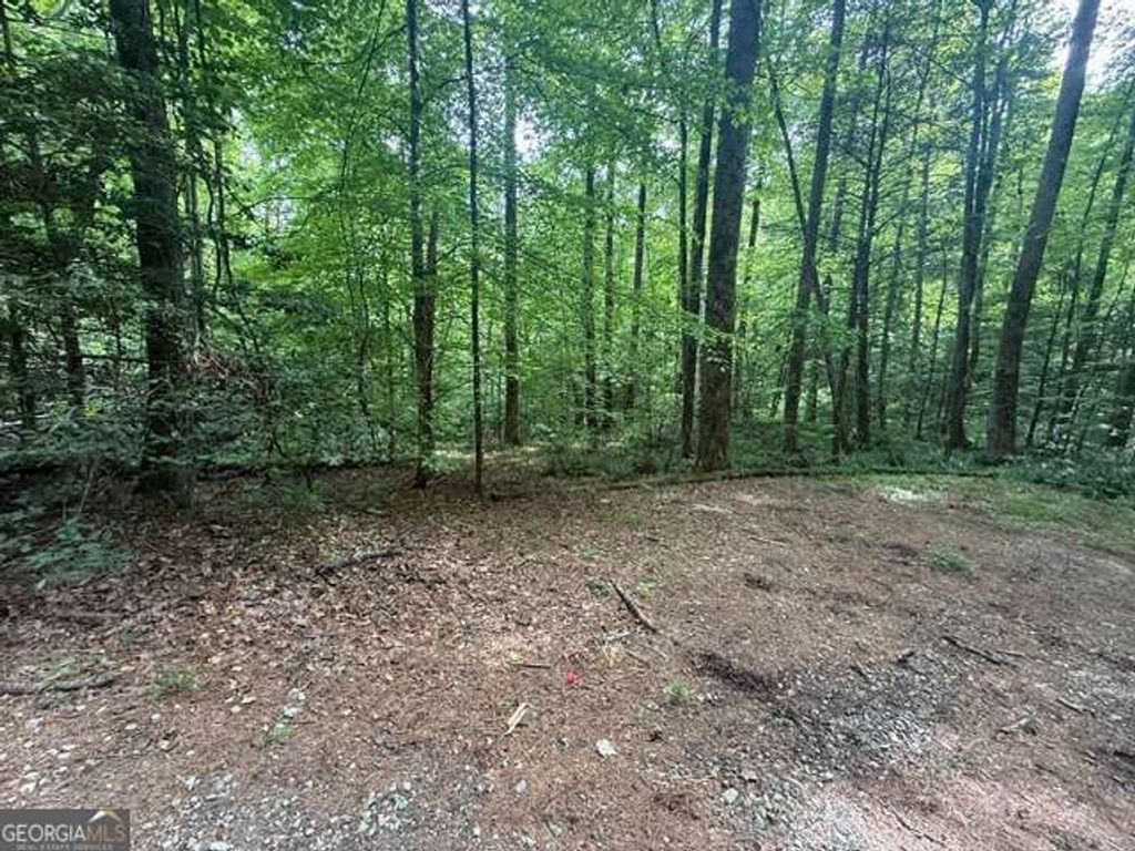 389 Fox Trot Road TRACT B, Clayton, GA 30525