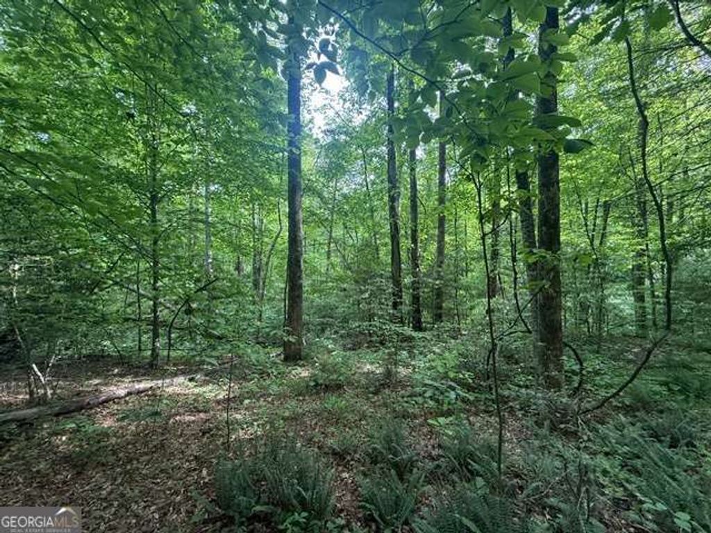389 Fox Trot Road TRACT B, Clayton, GA 30525 — photo 2