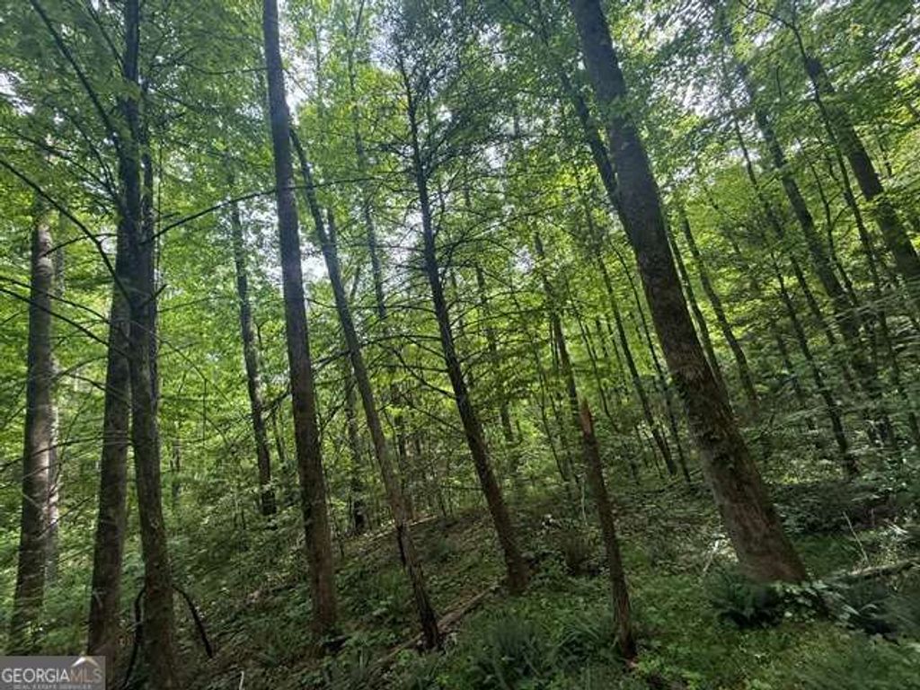 389 Fox Trot Road TRACT B, Clayton, GA 30525 — photo 3