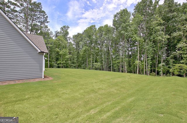 157 Ryeland Drive, Senoia, GA 30276