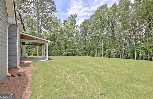 157 Ryeland Drive, Senoia, GA 30276