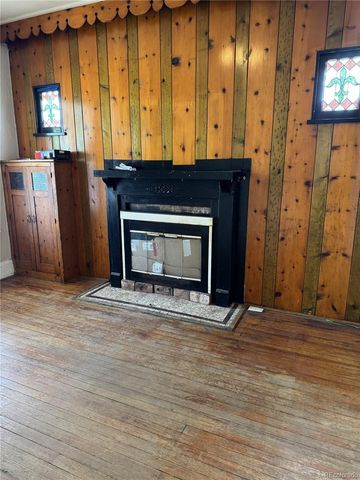 831 and 833 S Lincoln Street, Denver, CO 80209
