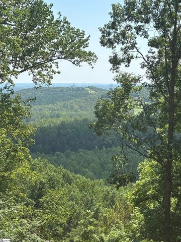 7 Angleblade Road, Landrum, SC 29356
