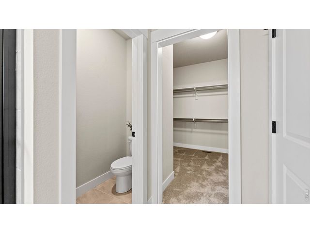 6226 Vernazza Way 3, Windsor, CO 80550