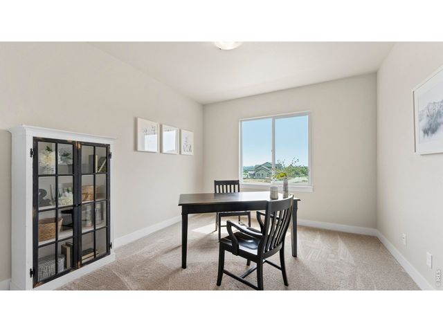 6226 Vernazza Way 3, Windsor, CO 80550