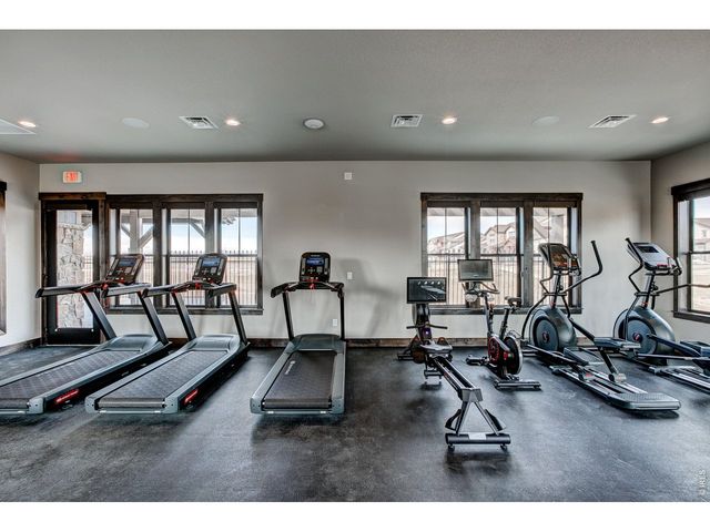 6226 Vernazza Way 3, Windsor, CO 80550