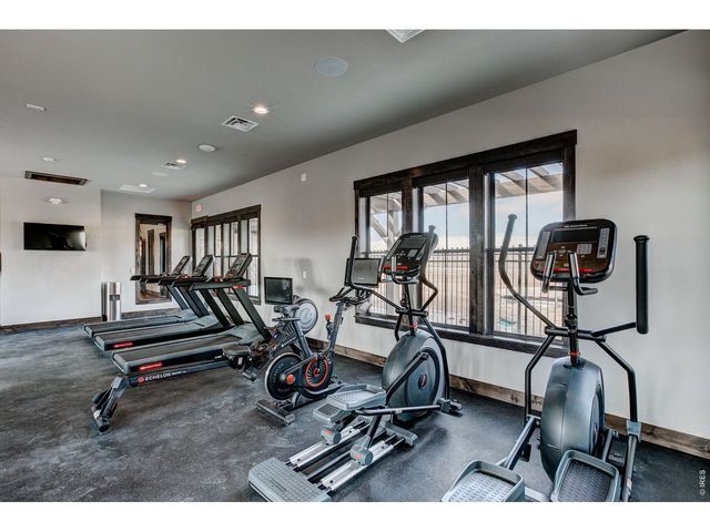 6226 Vernazza Way 3, Windsor, CO 80550