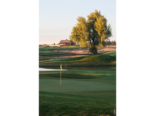 6226 Vernazza Way 3, Windsor, CO 80550