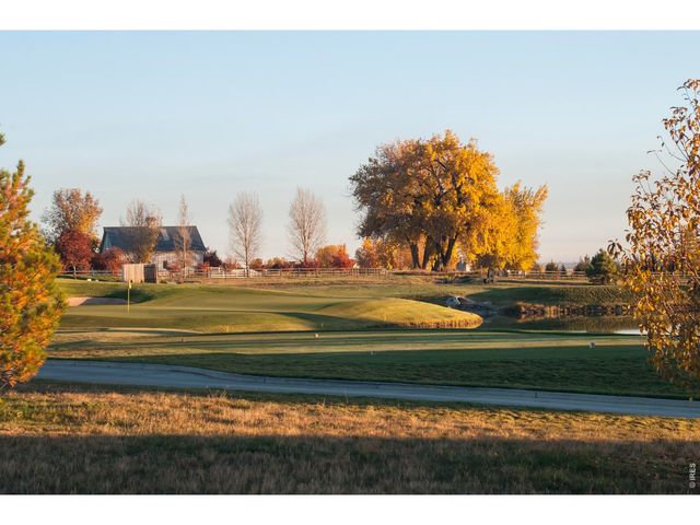 6226 Vernazza Way 3, Windsor, CO 80550