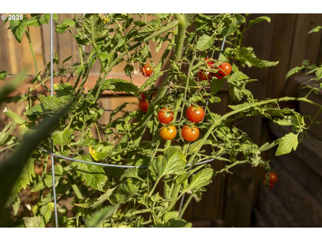 1300 N BROADWAY St, Estacada, OR 97023