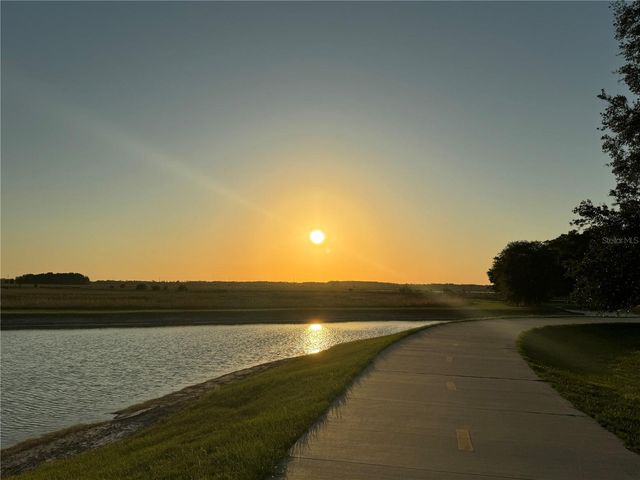 31300 KALE BROOKS COURT, San Antonio, FL 33576