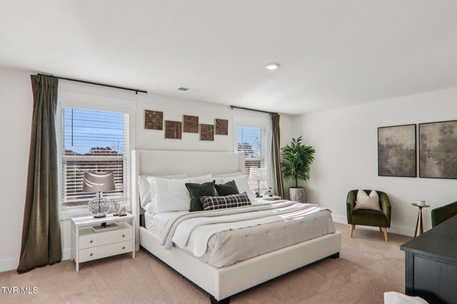 273 Chimney View Loop, Blountville, TN 37617