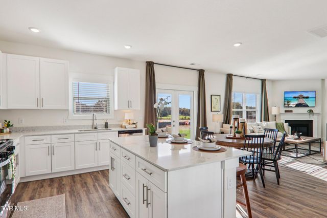 273 Chimney View Loop, Blountville, TN 37617