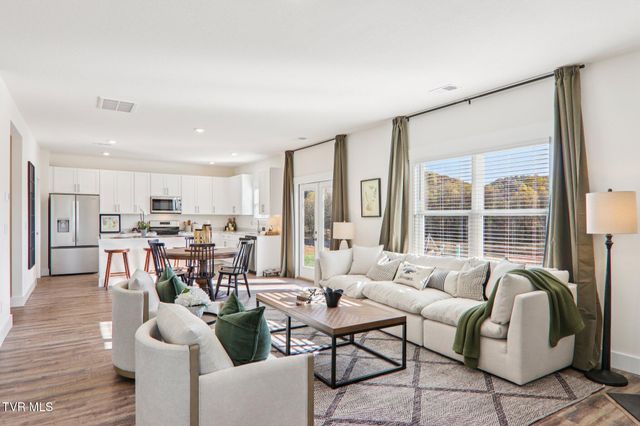 273 Chimney View Loop, Blountville, TN 37617