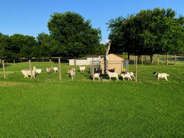 9909 County Road 309, Terrell, TX 75161
