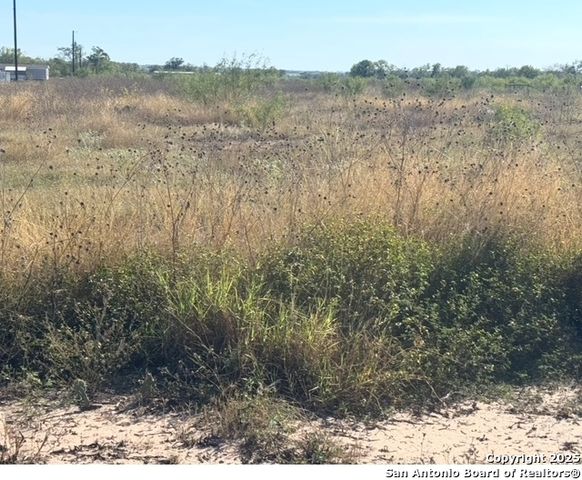 448 County Road 7712, Devine, TX 78016