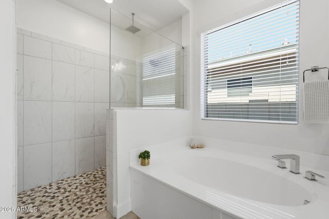 21255 W MINNEZONA Avenue, Buckeye, AZ 85396