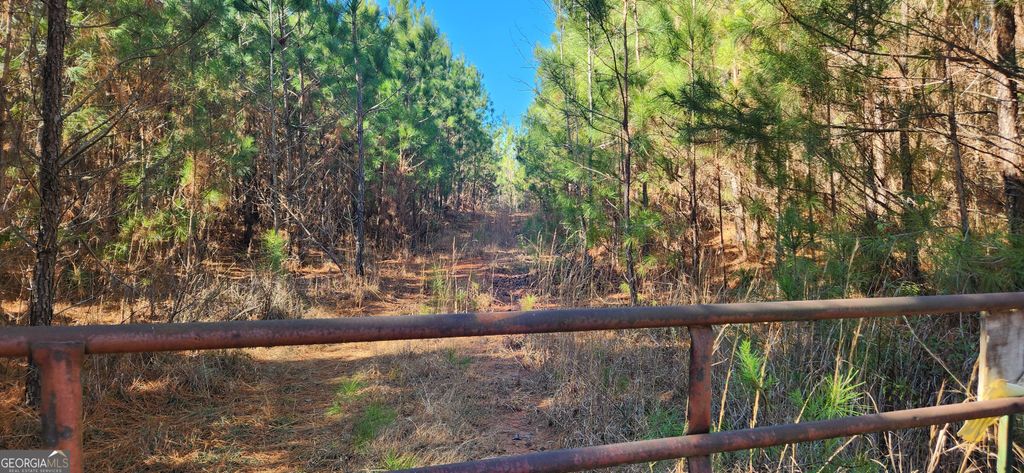 0 Jaudon Road (22.19 ACRE LOT), Elberton, GA 30635 — photo 4