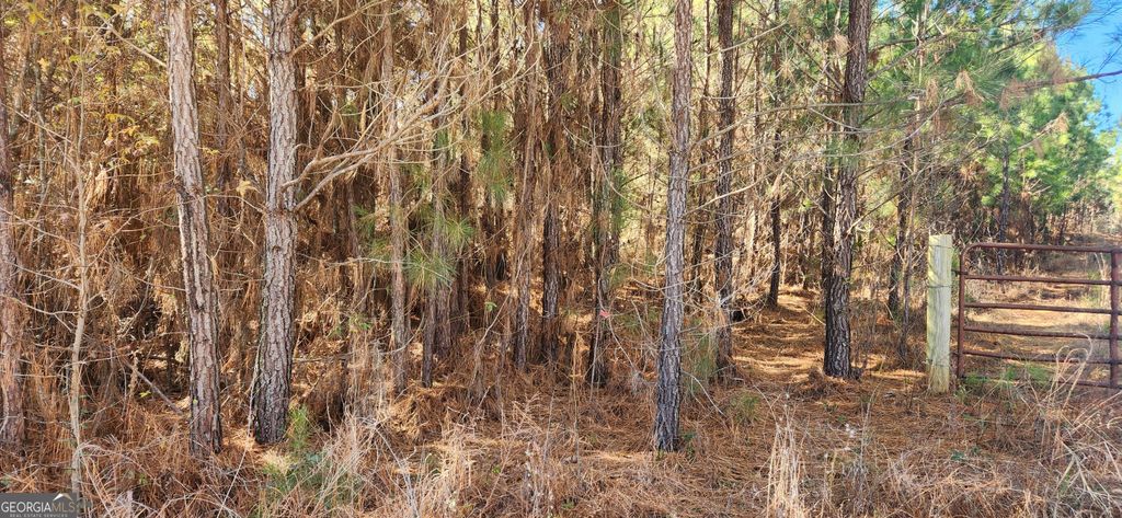 0 Jaudon Road (22.19 ACRE LOT), Elberton, GA 30635 — photo 5