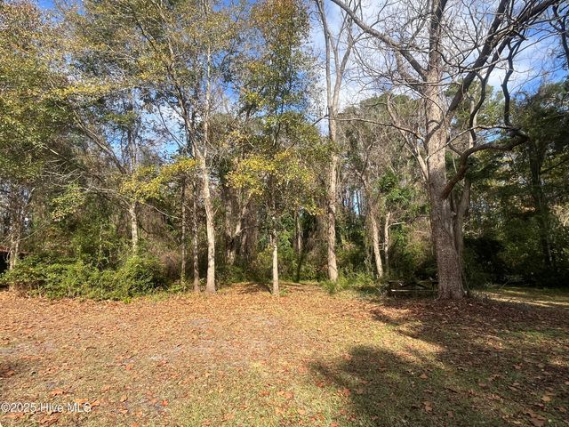 7682 Kershaw Road, Arapahoe, NC 28510