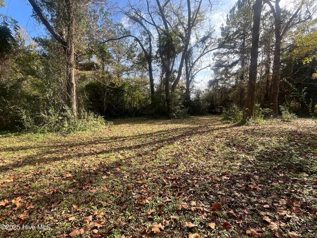 7682 Kershaw Road, Arapahoe, NC 28510