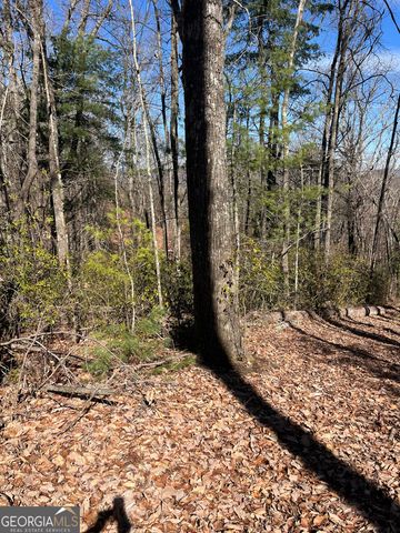 0 Eastman MTN Road, Tiger, GA 30576
