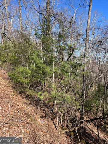 0 Eastman MTN Road, Tiger, GA 30576