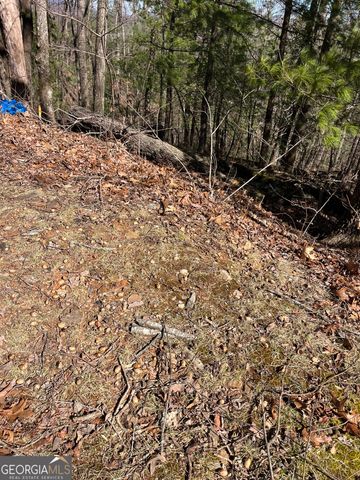 0 Eastman MTN Road, Tiger, GA 30576