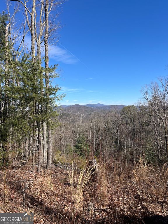 0 Eastman MTN Road, Tiger, GA 30576
