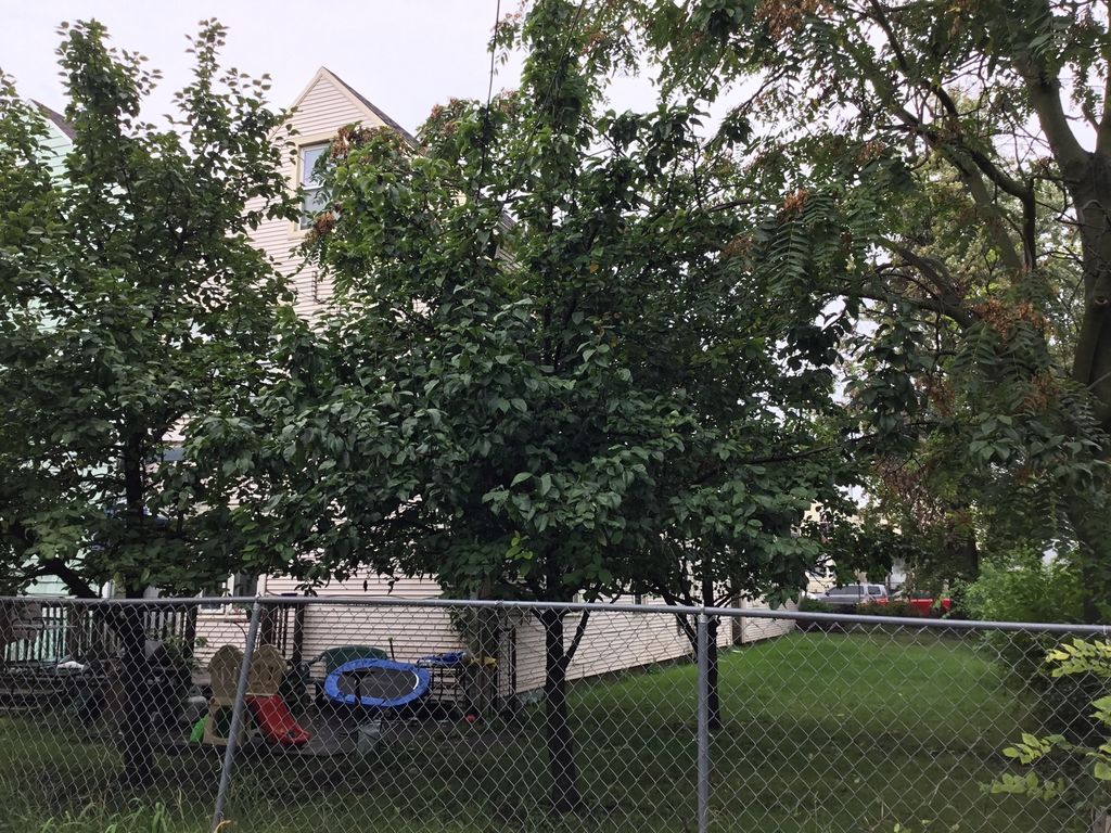 4319 S Paulina Street, Chicago, IL 60609 — photo 3