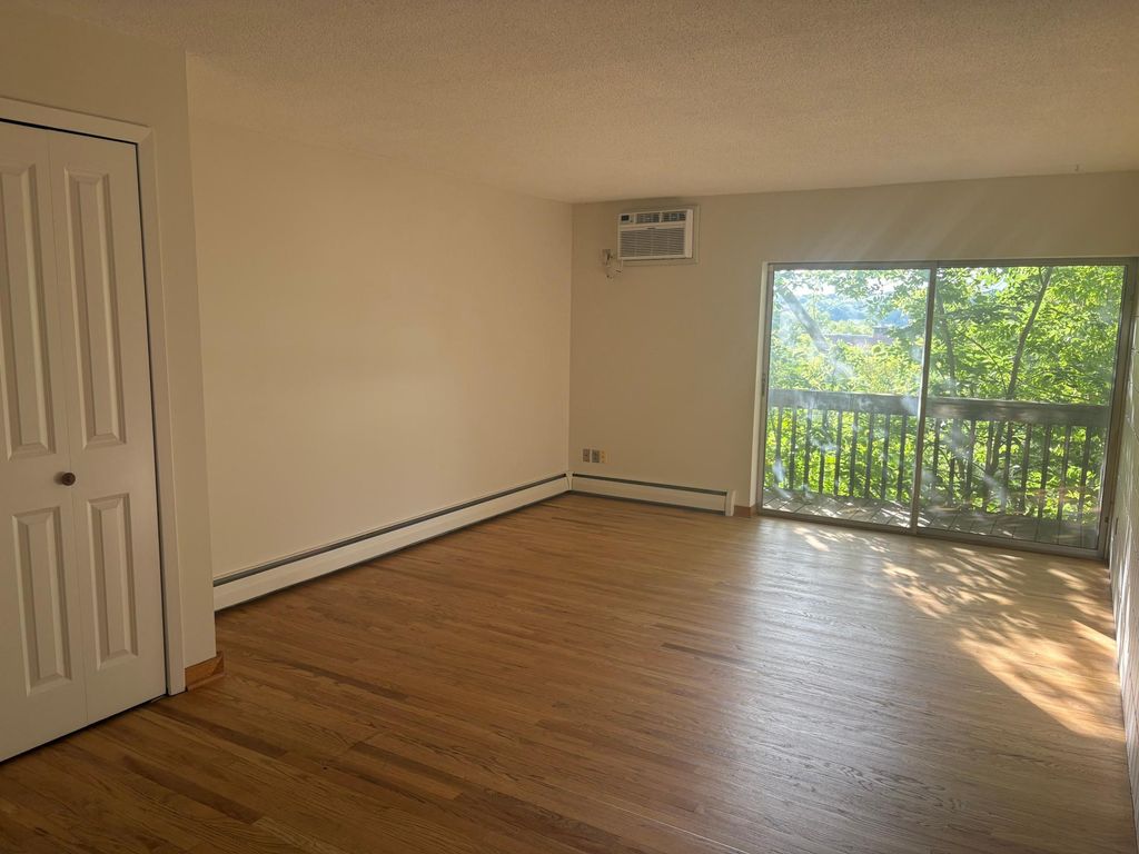 380 Ramsey Street 3A, Saint Paul, MN 55102