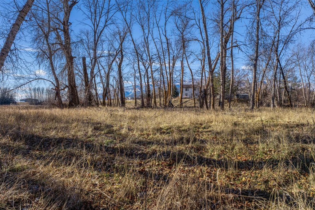 12900 Us Highway 93 S, Lolo, MT 59847 photo 26