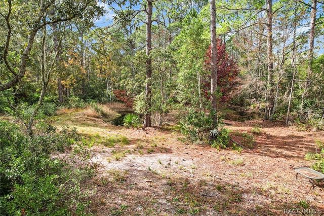 5323 S Monterey Way, Homosassa, FL 34448