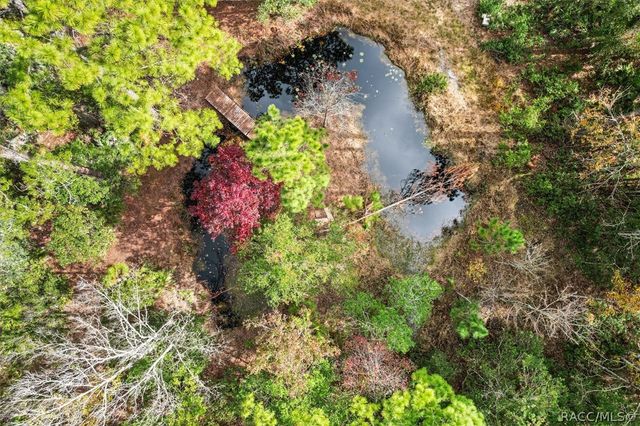 5323 S Monterey Way, Homosassa, FL 34448