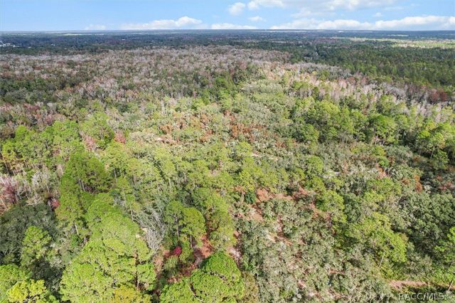 5323 S Monterey Way, Homosassa, FL 34448