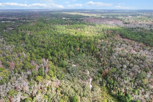 5323 S Monterey Way, Homosassa, FL 34448
