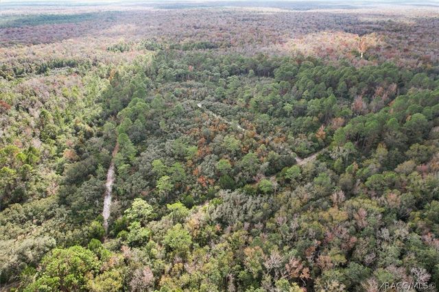 5323 S Monterey Way, Homosassa, FL 34448