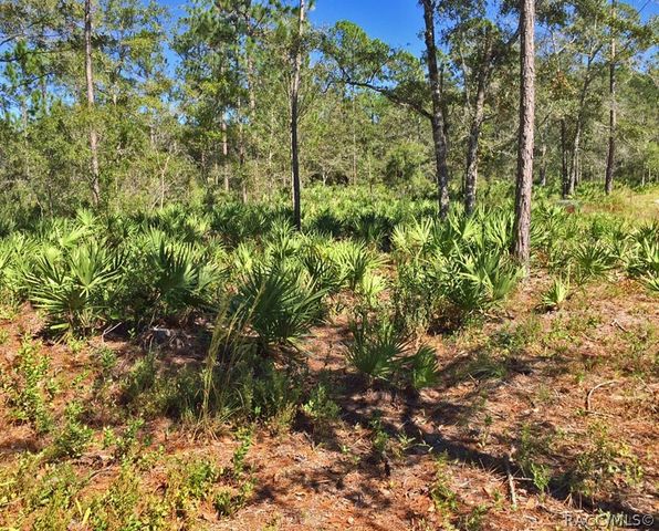 5323 S Monterey Way, Homosassa, FL 34448