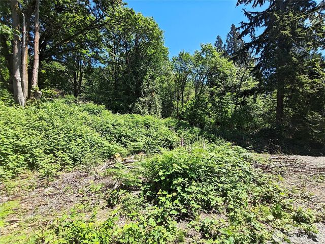 273 xx SE 164th Street, Issaquah, WA 98027