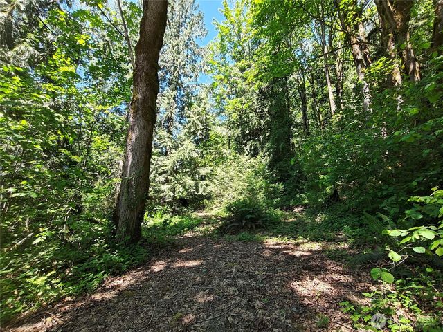 273 xx SE 164th Street, Issaquah, WA 98027