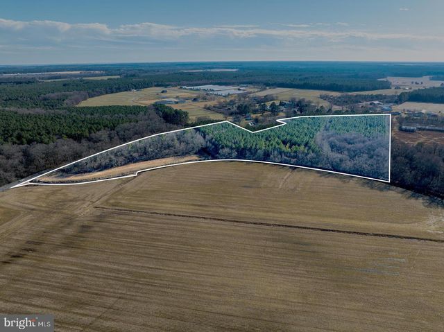 007 LIBERTYTOWN RD, Berlin, MD 21811