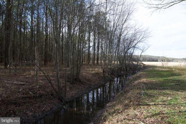 007 LIBERTYTOWN RD, Berlin, MD 21811